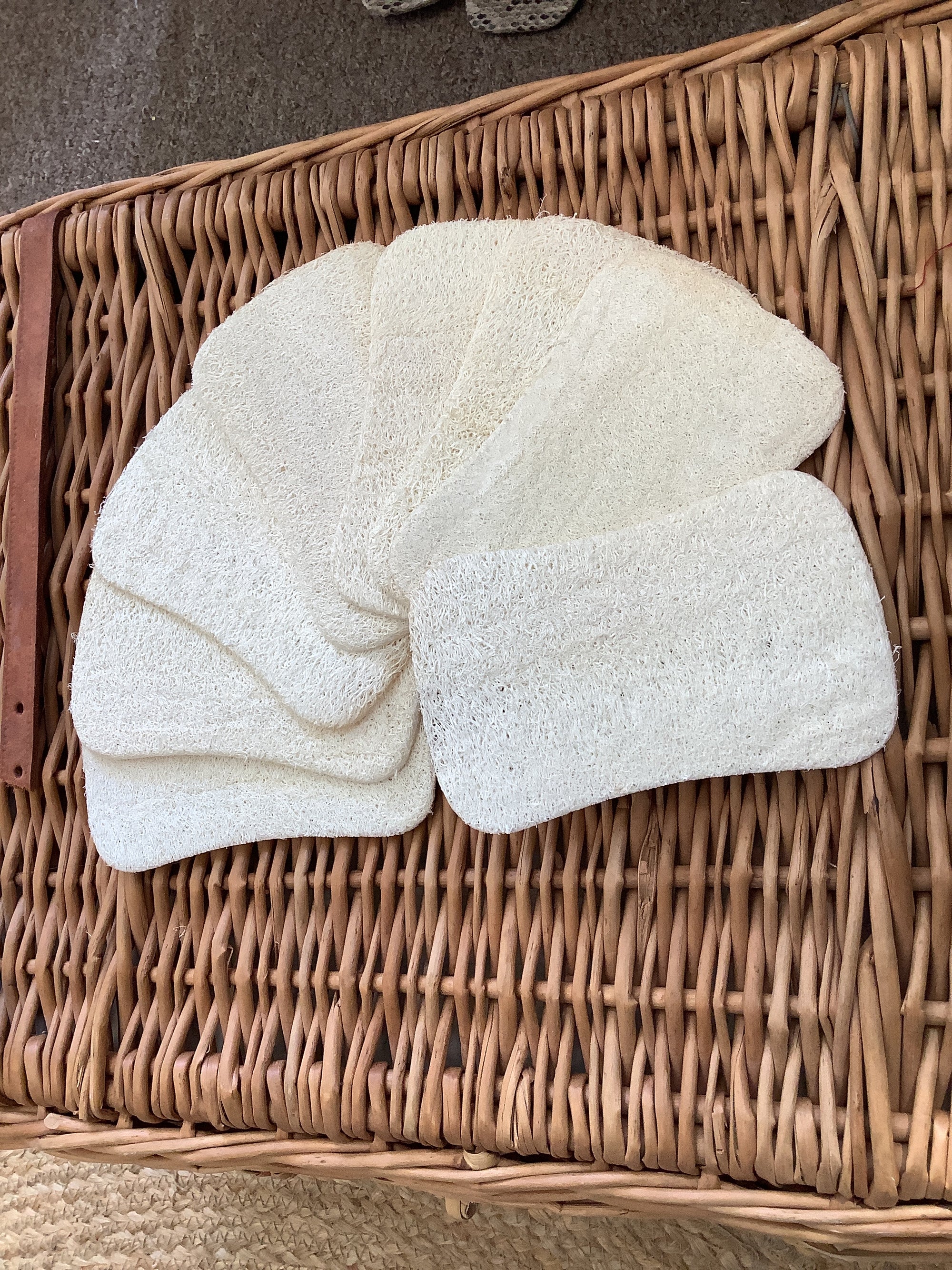 Creating Smaller Footprints Natural Luffa Sponge