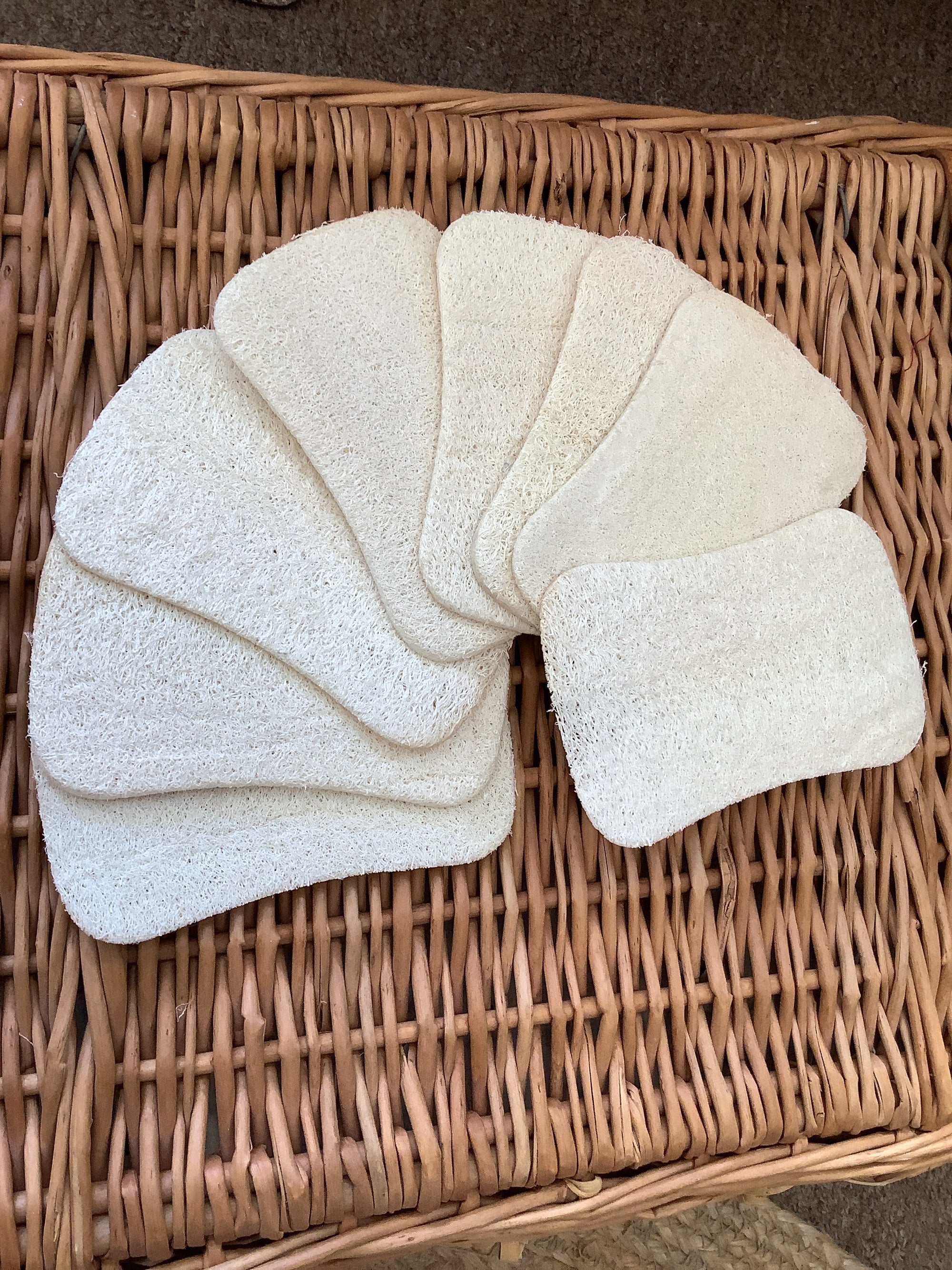 Creating Smaller Footprints Natural Luffa Sponge
