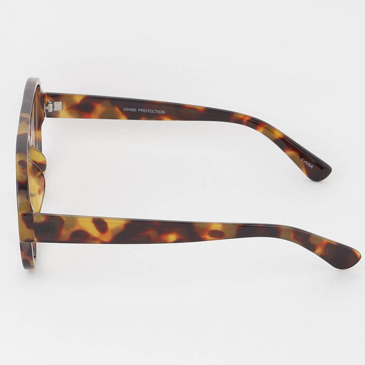 Classic Tinted Aviator Sunglasses