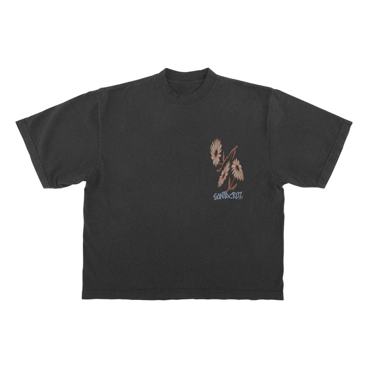 Santa Cruz &