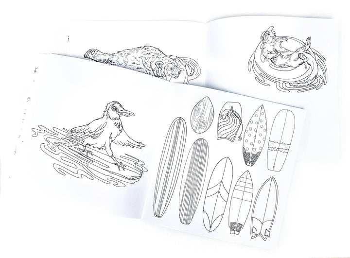 Wild Life Camp Colouring Book