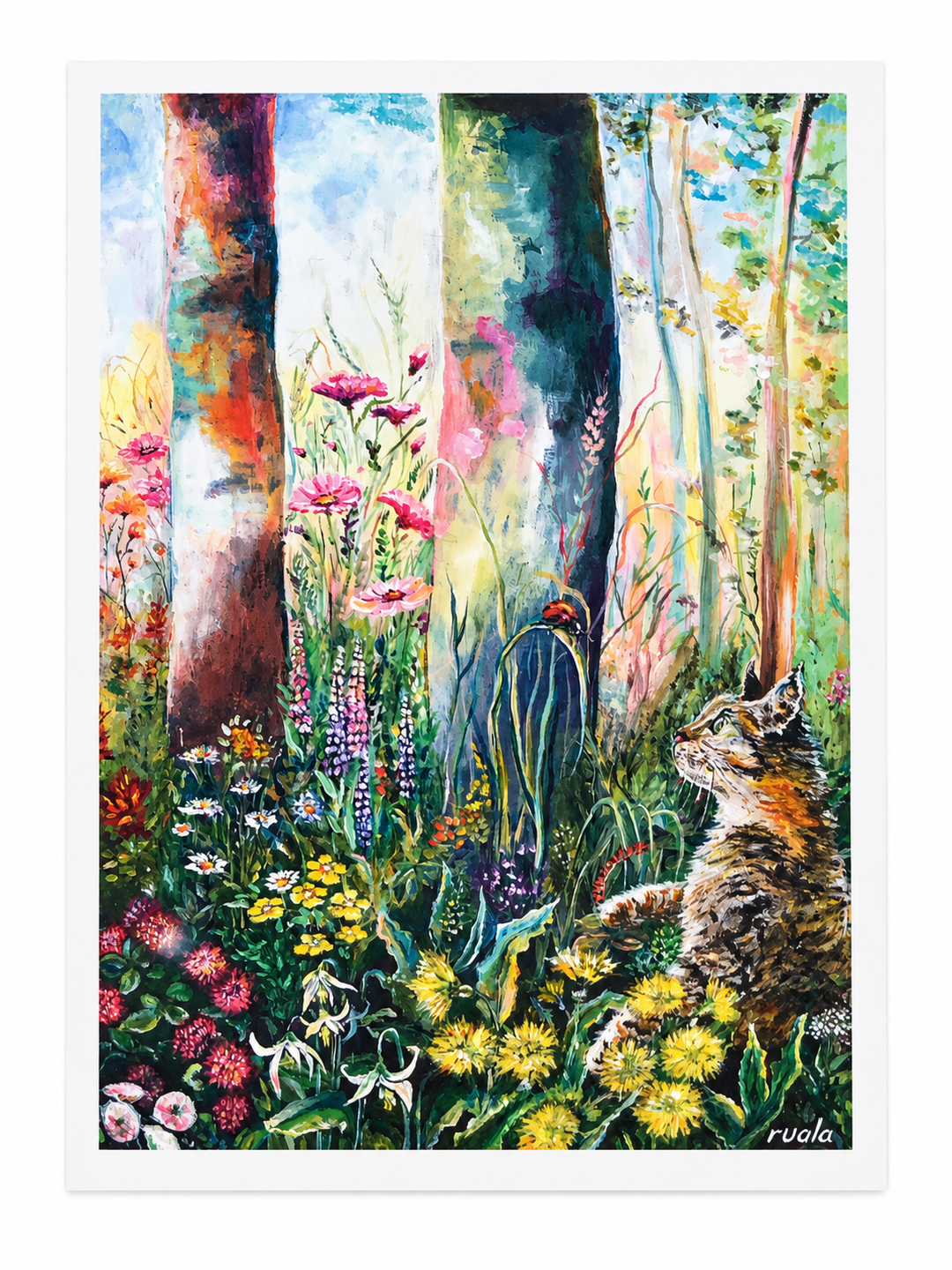 Forest Cat