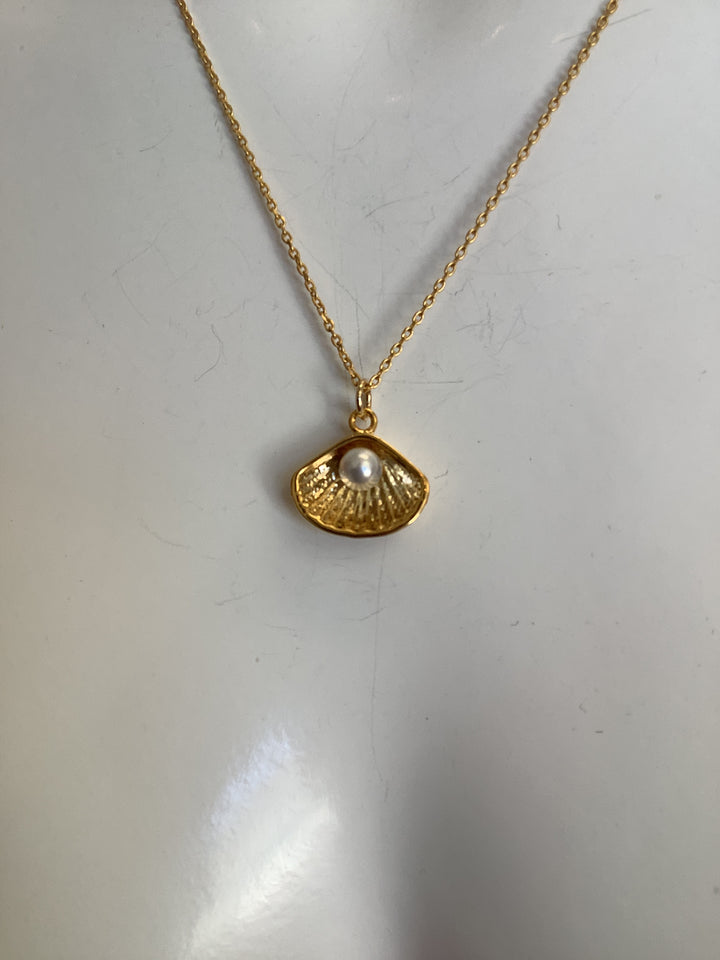 Standout Boutique Shell + Pearl Necklace