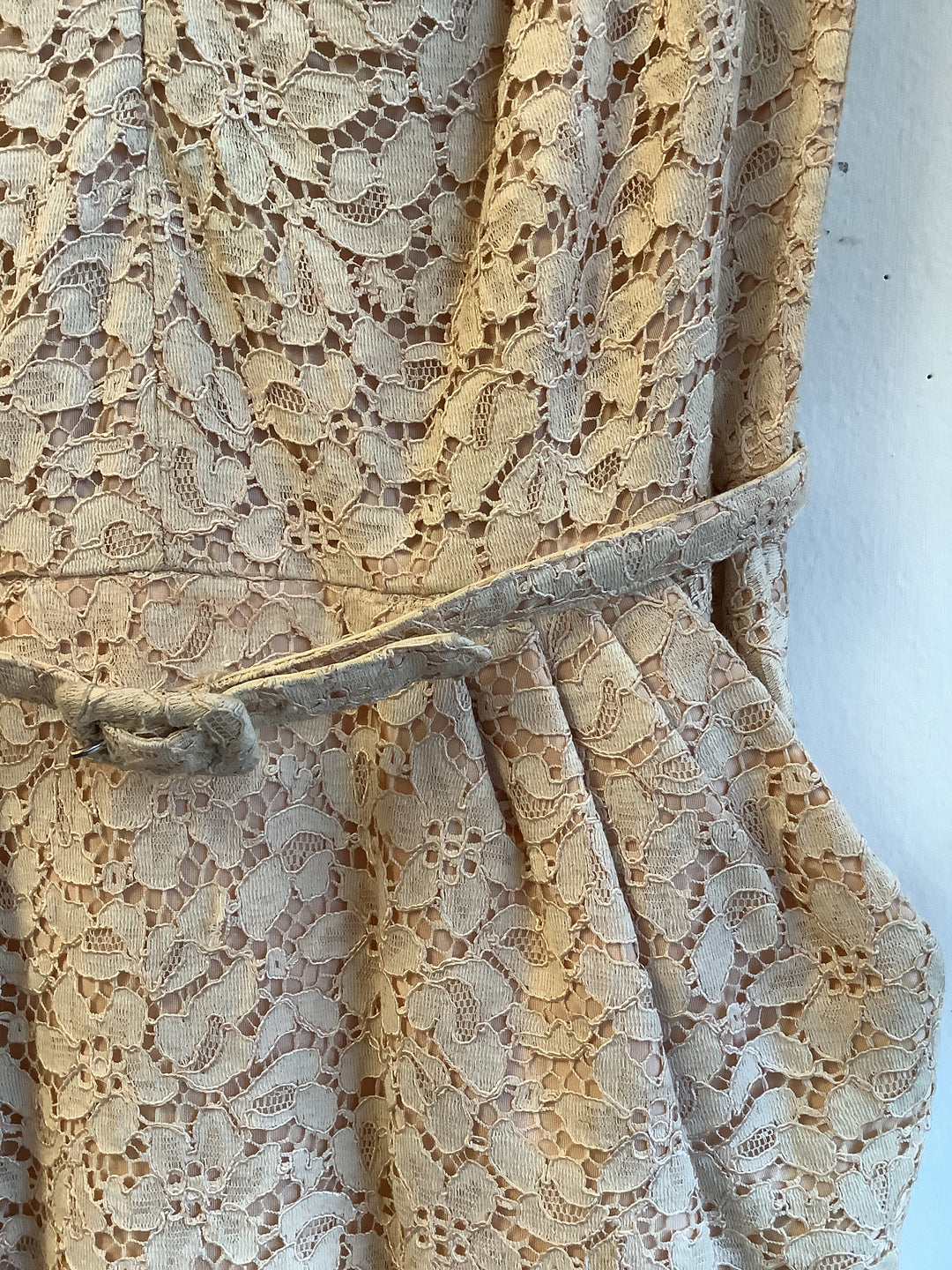 Vintage Blush Lace Dress