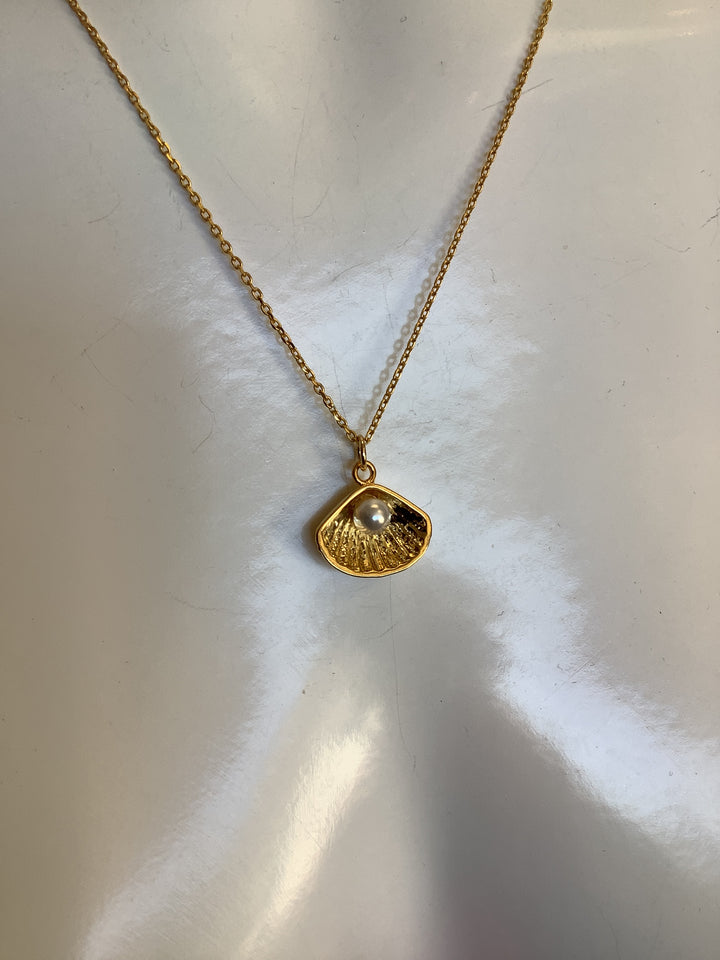 Standout Boutique Shell + Pearl Necklace