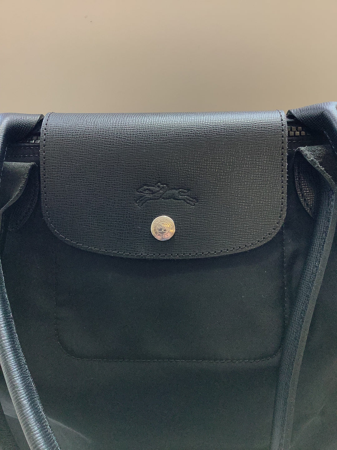 Longchamp Le Pliage Tote