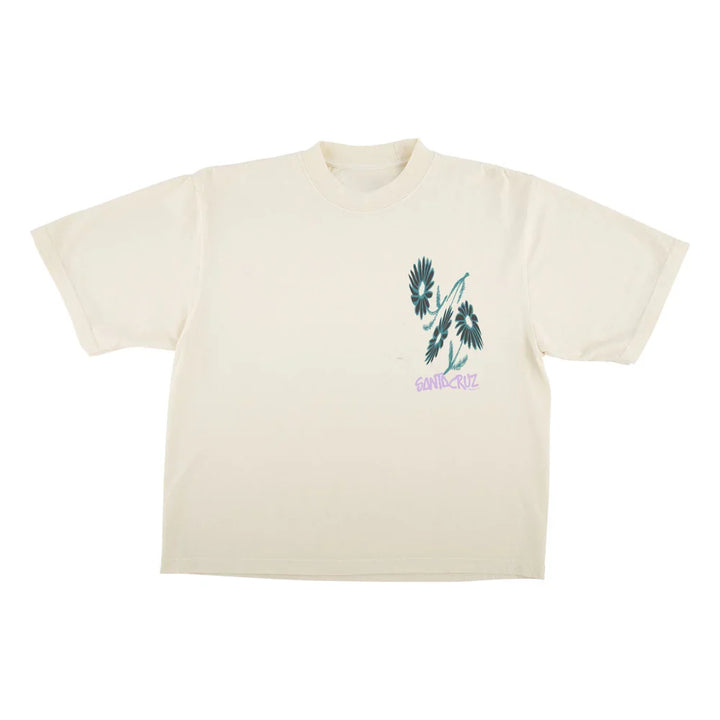Santa Cruz &