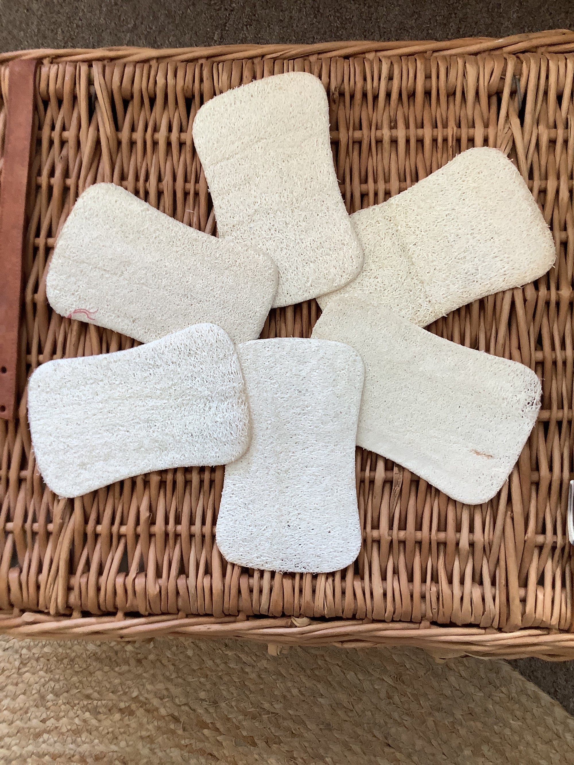 Creating Smaller Footprints Natural Luffa Sponge