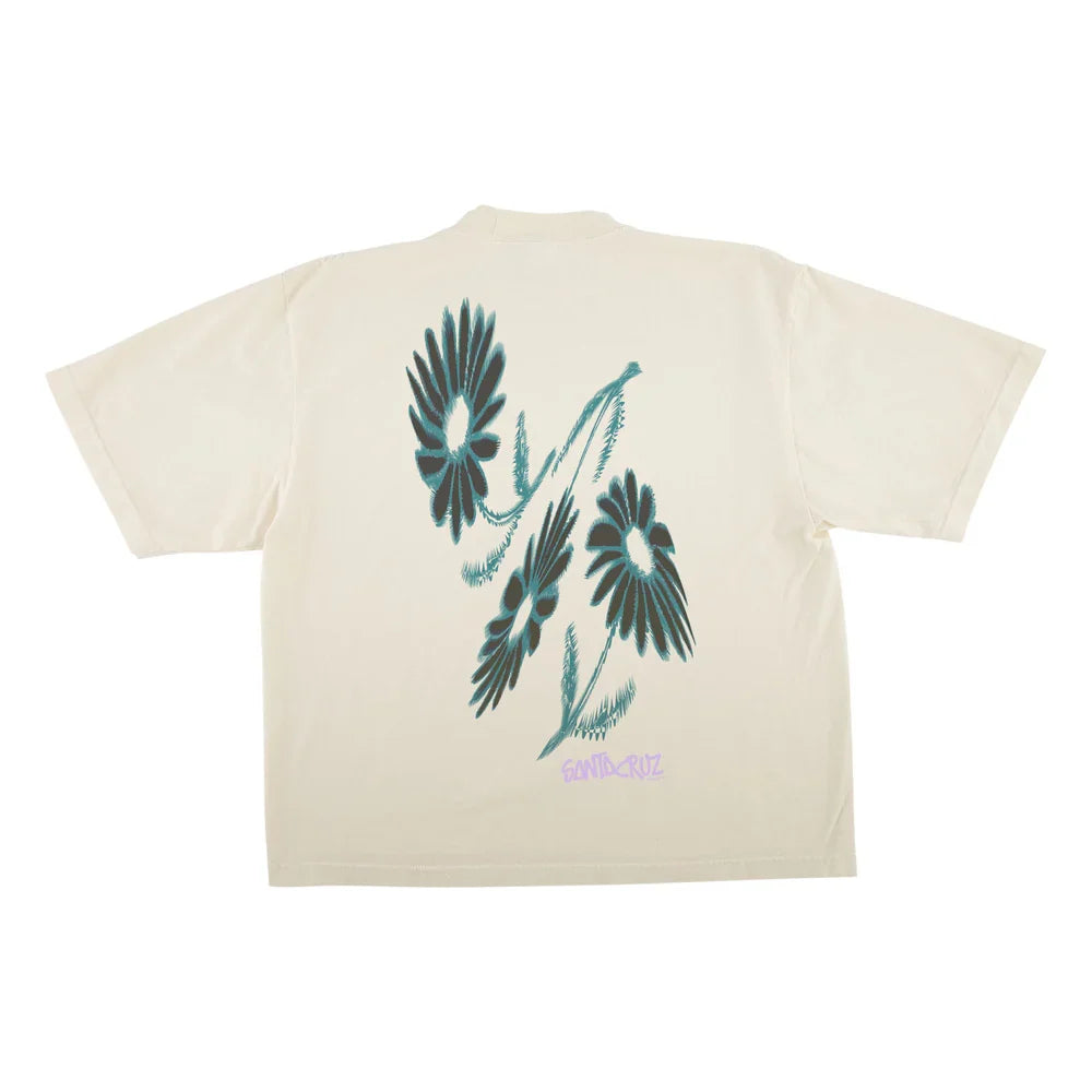 Santa Cruz &