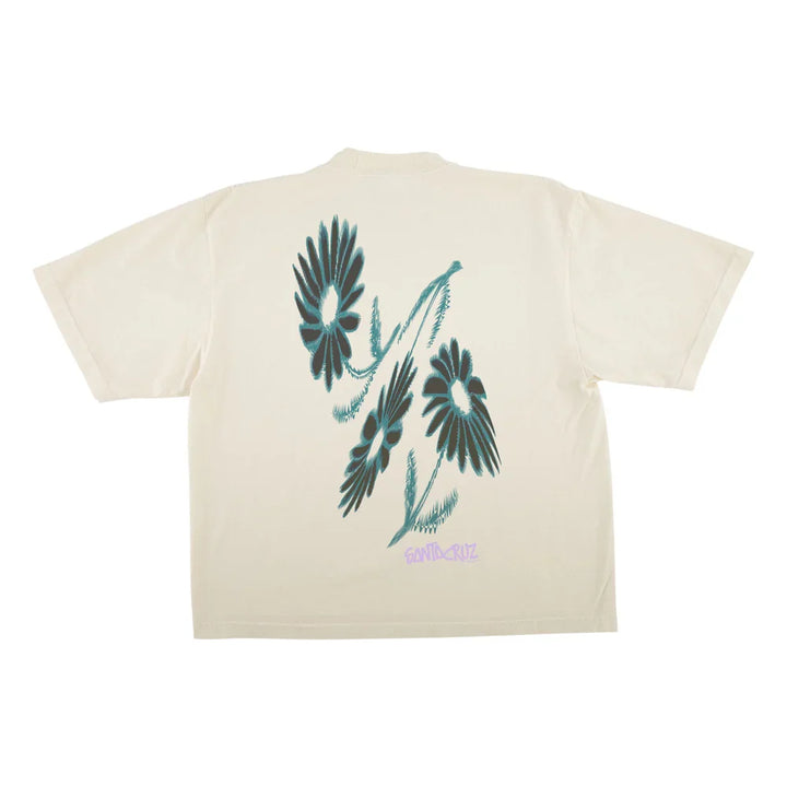 Santa Cruz &