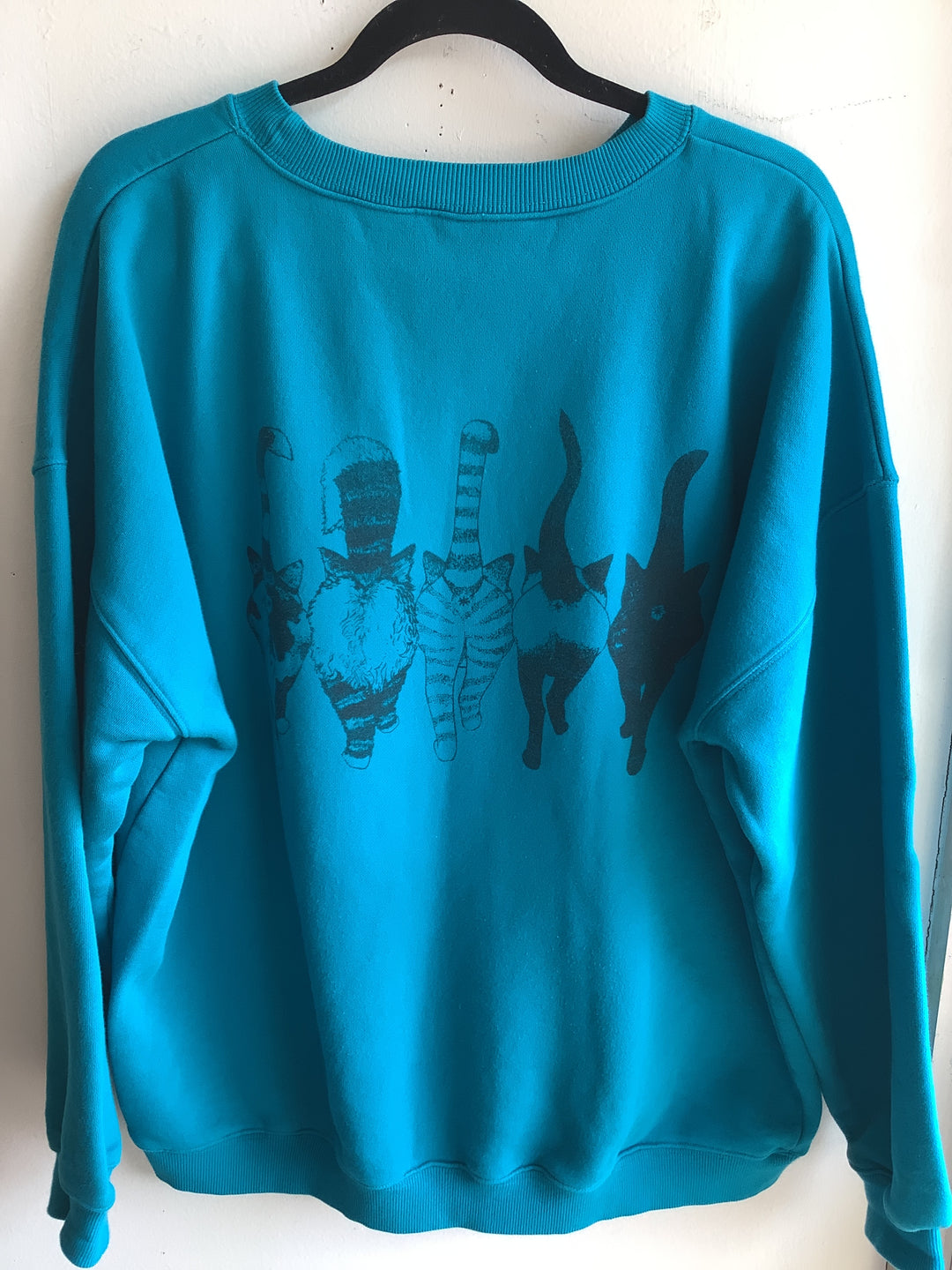 Turquoise Cat Graphic Sweatshirt