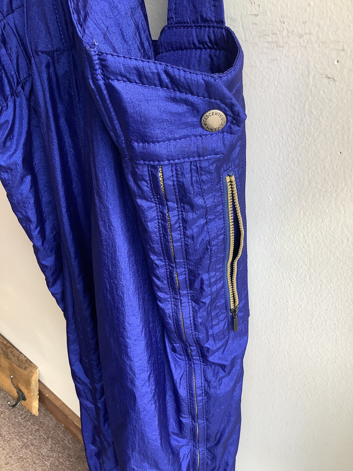 Vintage Descente Royal Blue Ski Bibs