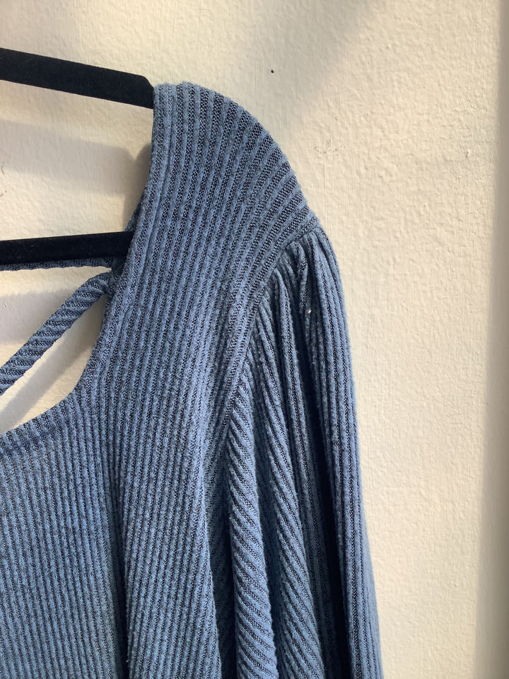 Willow Blue Top