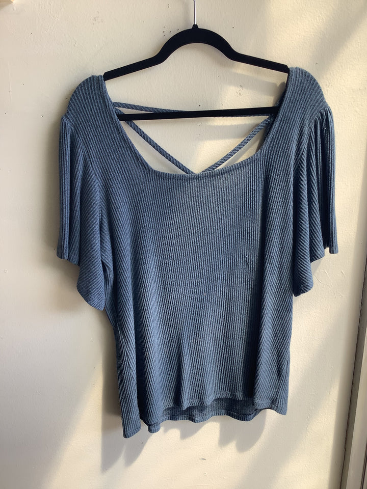 Willow Blue Top