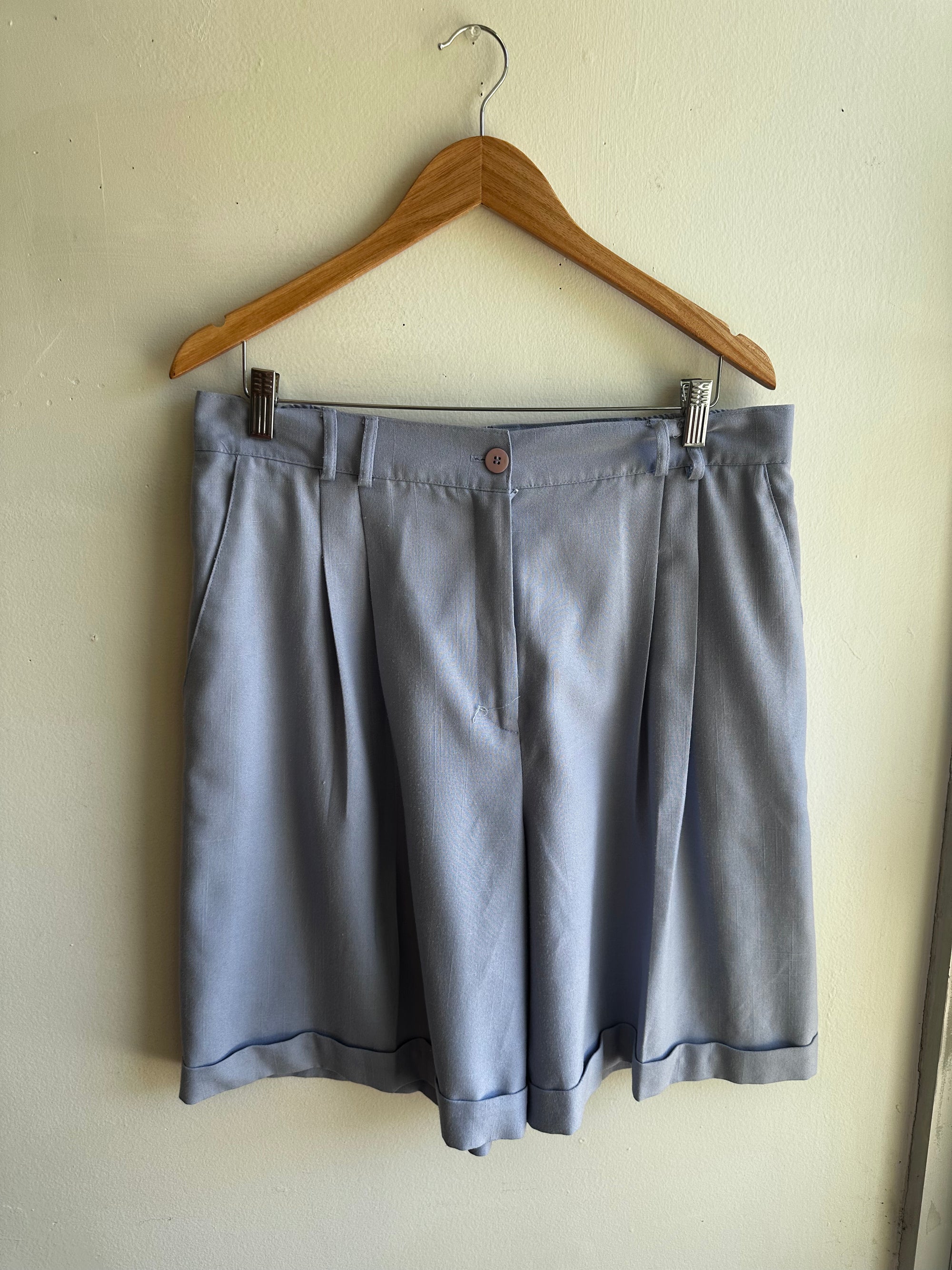 Vintage Periwinkle Pleated Shorts – Size XXL