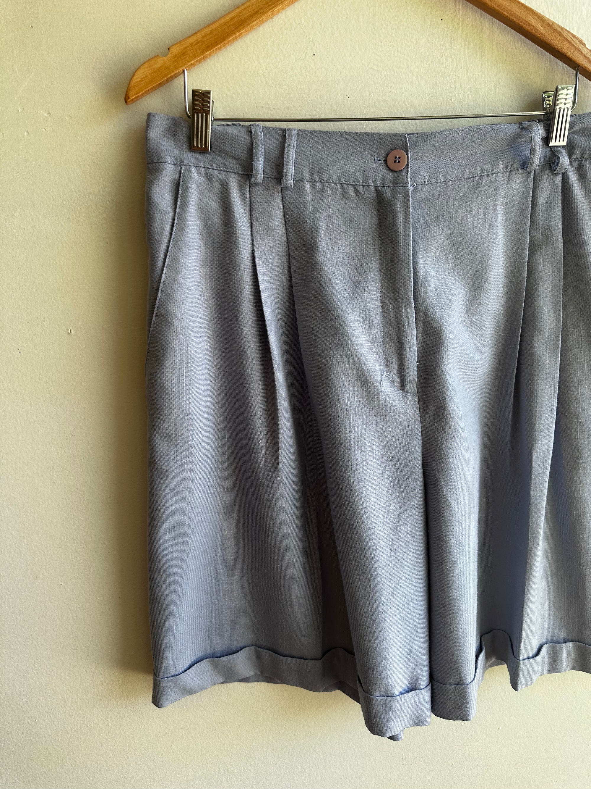 Vintage Periwinkle Pleated Shorts – Size XXL