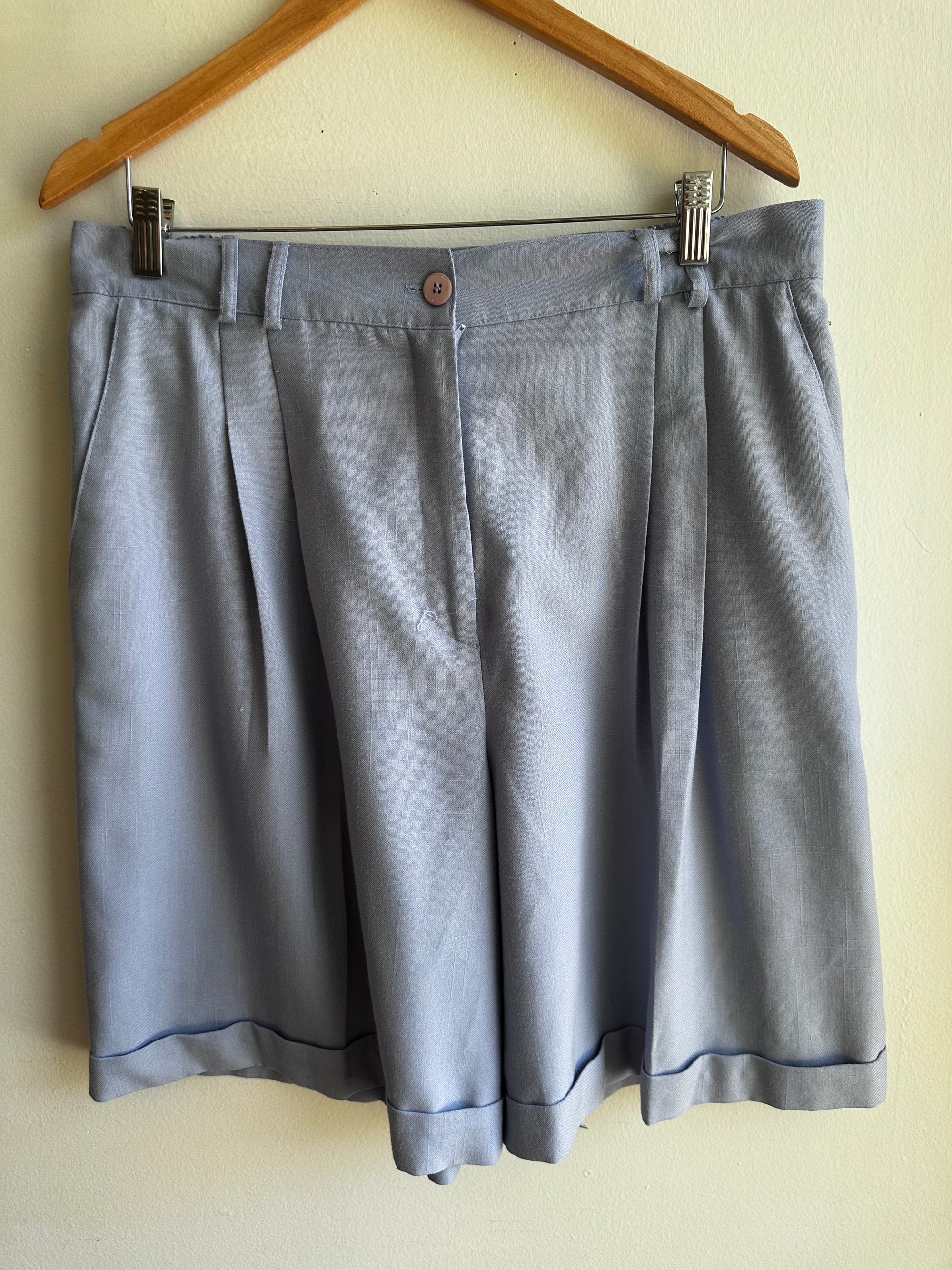 Vintage Periwinkle Pleated Shorts – Size XXL