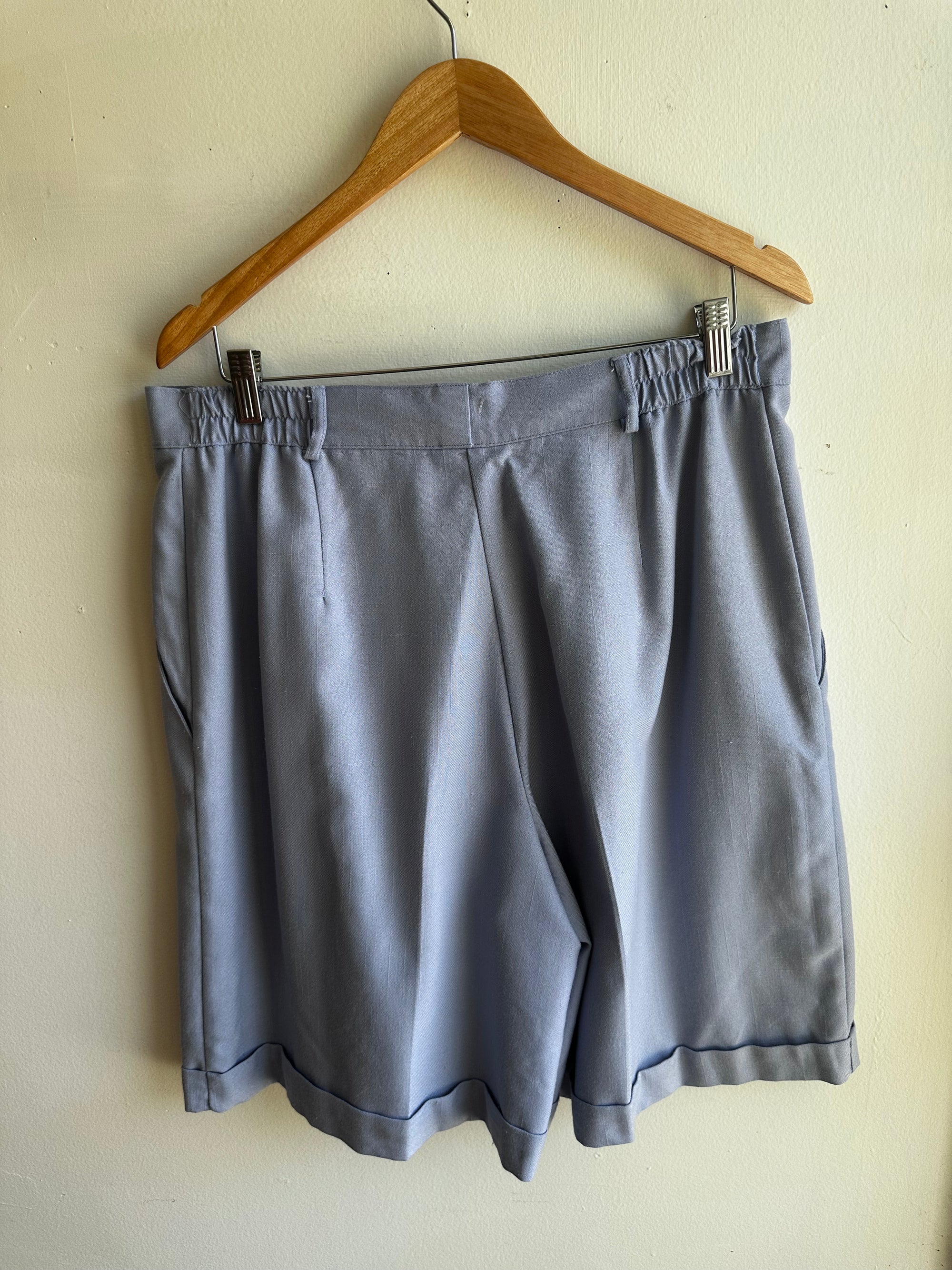 Vintage Periwinkle Pleated Shorts – Size XXL