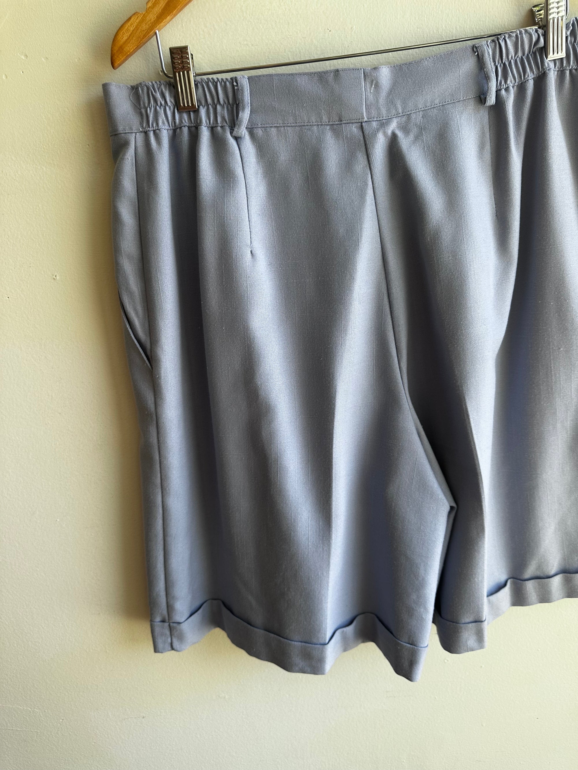 Vintage Periwinkle Pleated Shorts – Size XXL