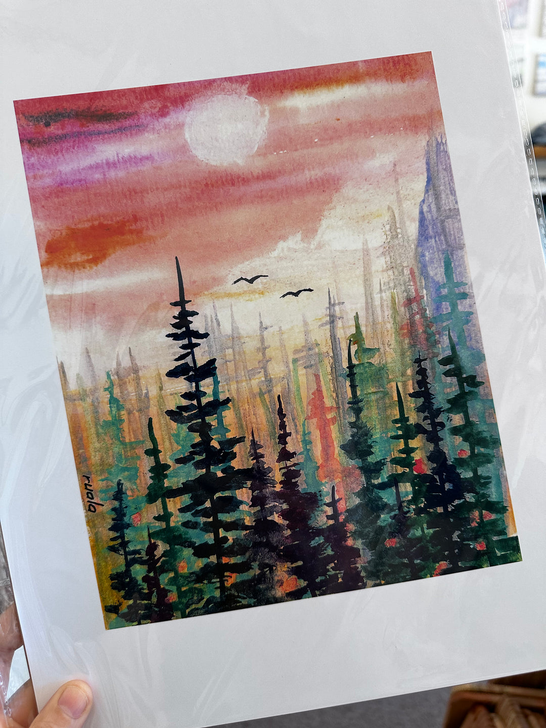 Sunset Through the Pines – Art Print by Ruala (Fruitvale, BC)