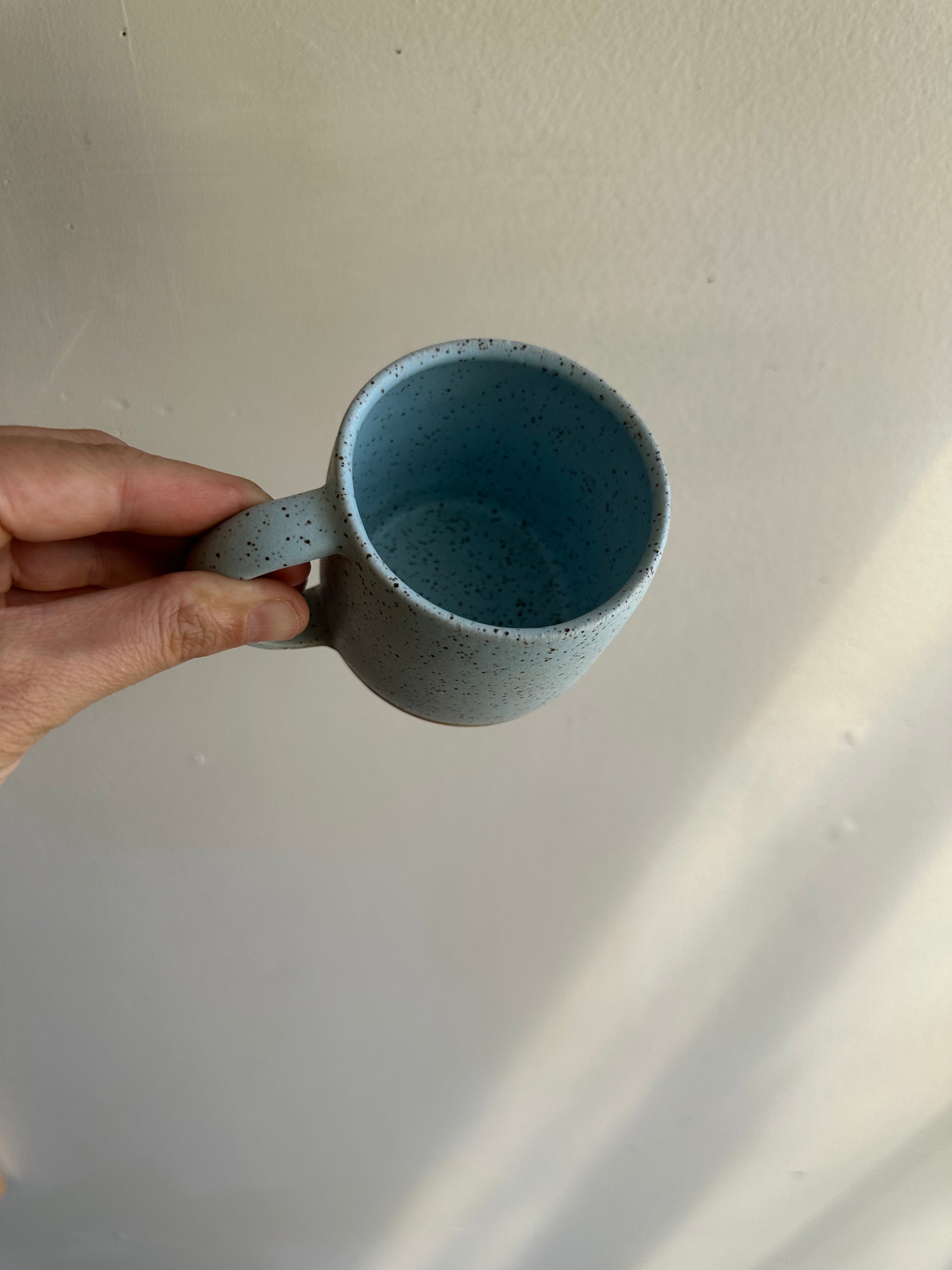 Earth to Ember | Handmade Speckled Stone Mug | Robin’s Egg
