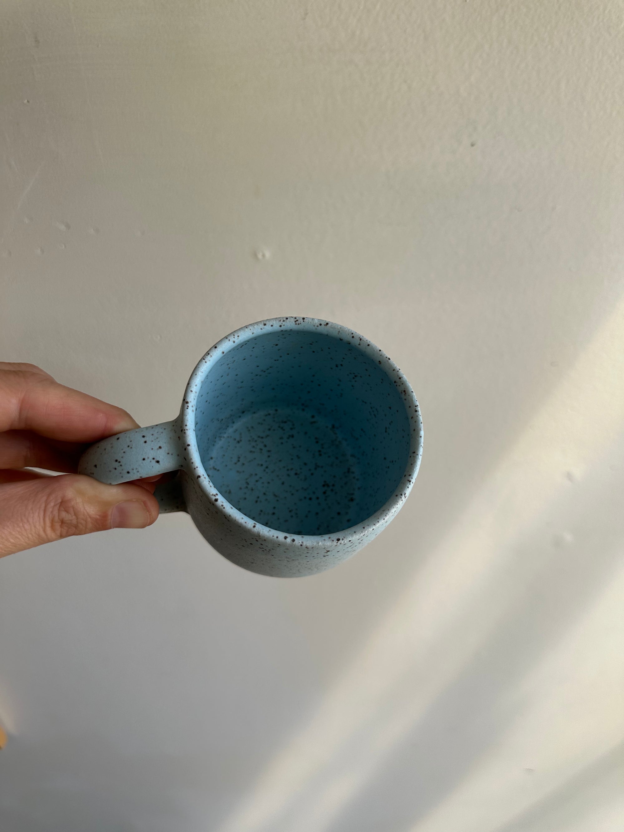 Earth to Ember | Handmade Speckled Stone Mug | Robin’s Egg