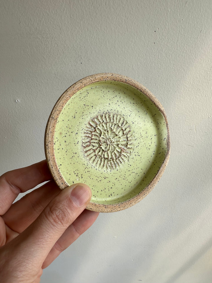 Earth to Ember | Handmade Speckled Stone Garlic Grater Dish | Green
