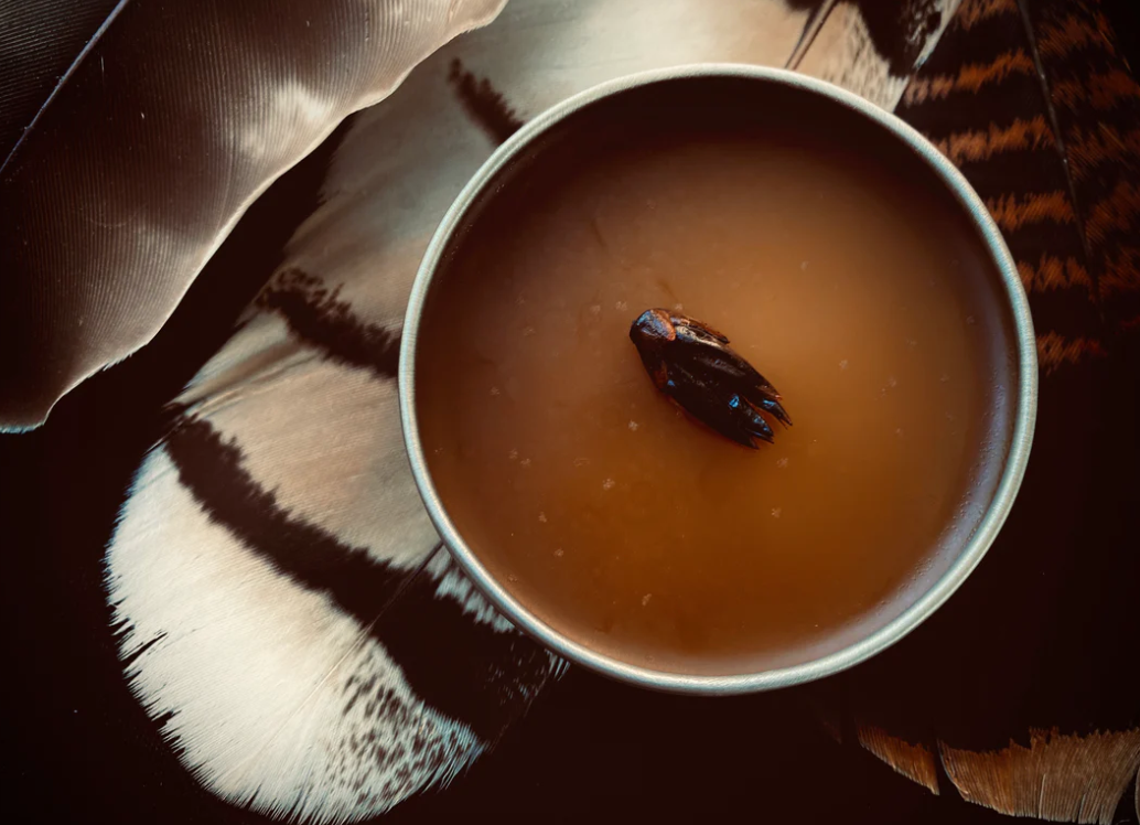 Ladalove Apothecary - Balm of Gilead - All purpose Salve