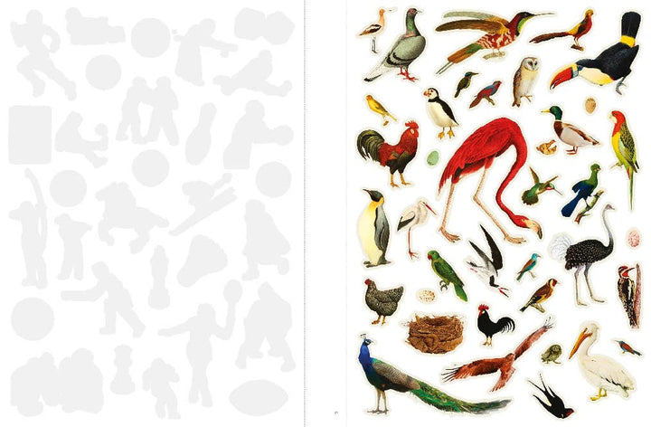 Even More Extraordinary Things to Cut Out and Collage