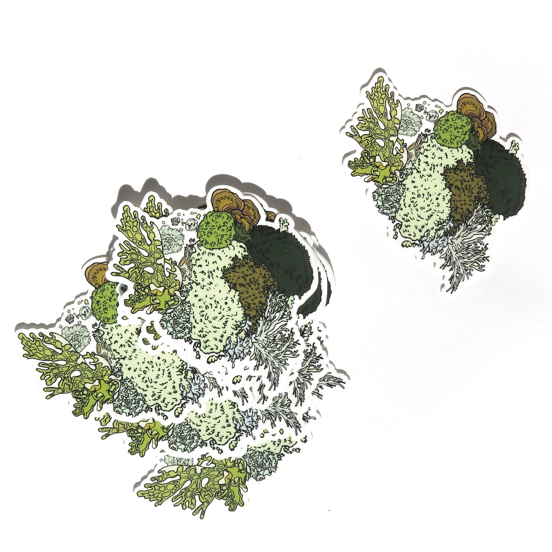 Moss and Lichen Sticker