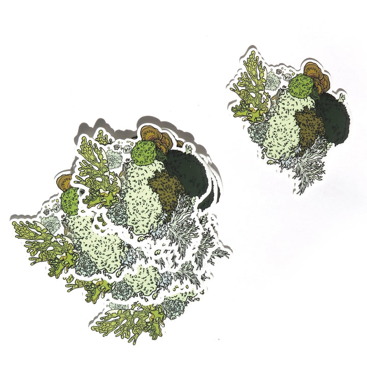 Moss and Lichen Sticker