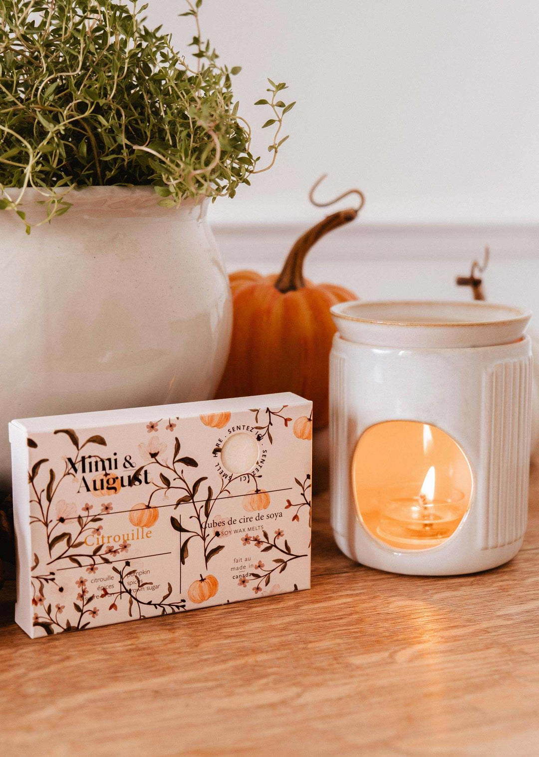 Soy Wax Melts - Citrouille